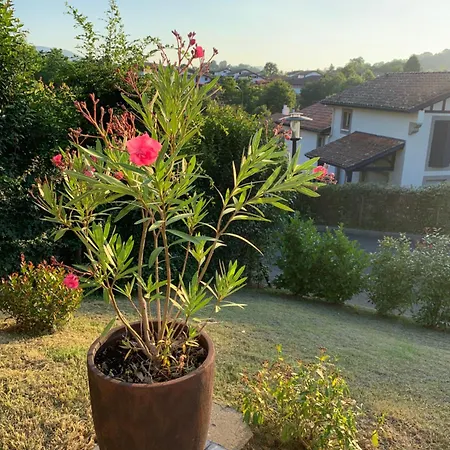 Tres Belle 4 Etoiles - 3 - Terrasse Et Jardin Cambo-les-Bains